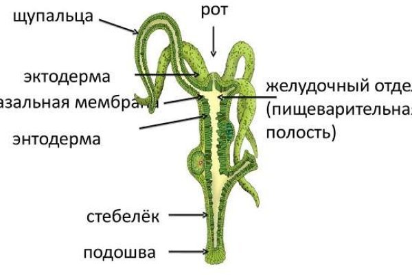 Работающий сайт кракен