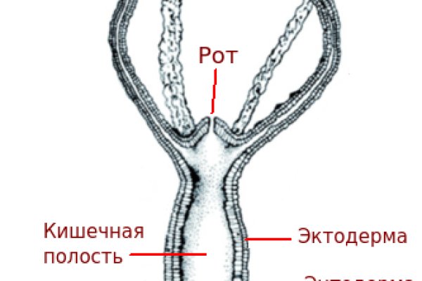 Kraken рабочая ссылка onion