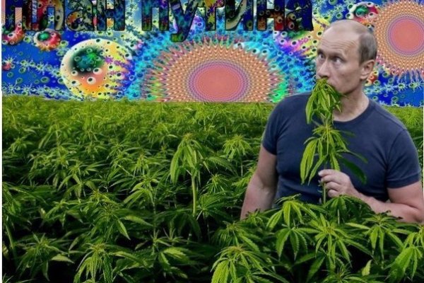 Кракен ссылка зайти