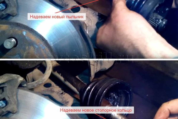 Гидра и кракен