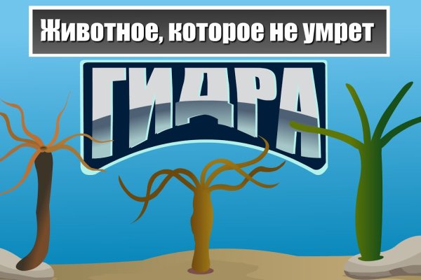 Kraken зеркало даркнет