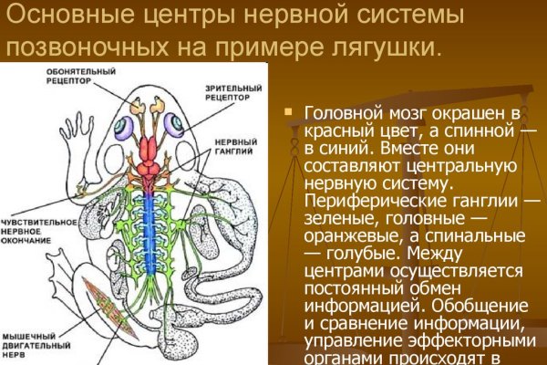 Что такое кракен только через тор